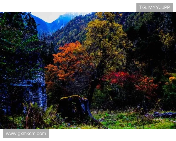 漫步开心街：一座城市的心灵栖息地